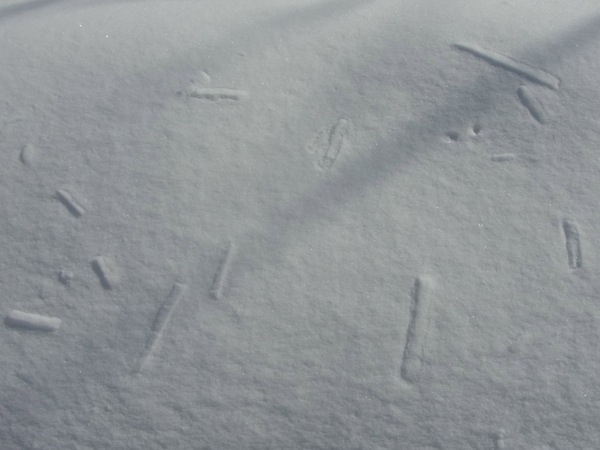 f:id:elmikamino:20120217112058j:image