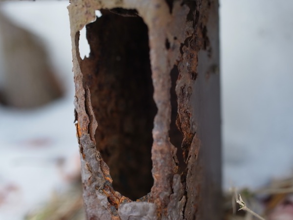 f:id:elmikamino:20120219101345j:image f:id:elmikamino:20120219101345j:image