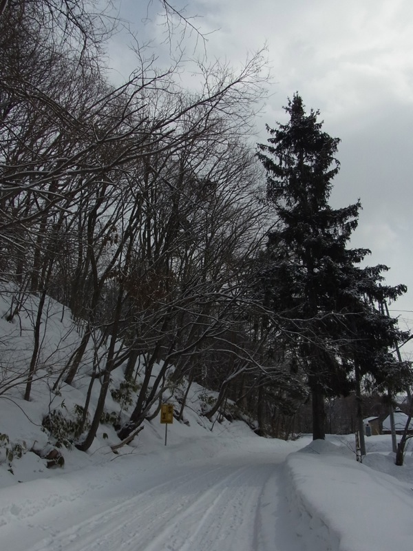 f:id:elmikamino:20120219102921j:image f:id:elmikamino:20120219102921j:image