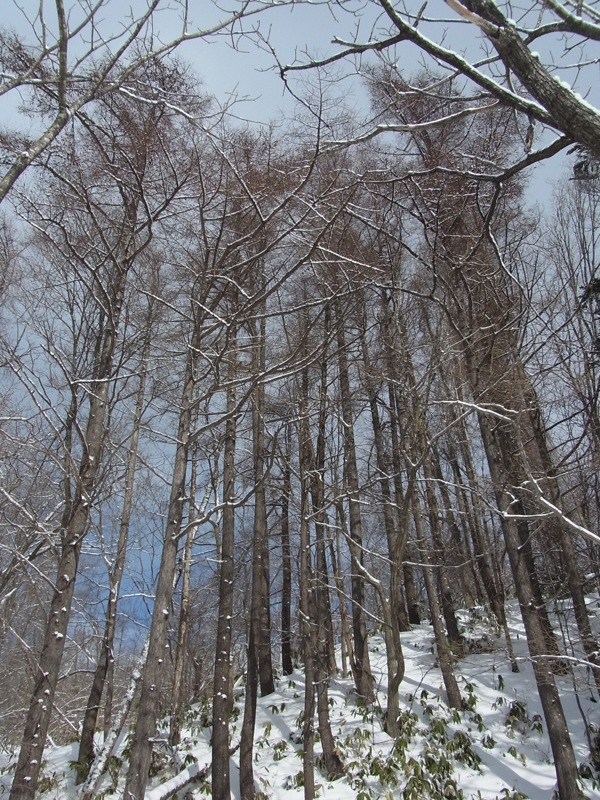 f:id:elmikamino:20120219110752j:image f:id:elmikamino:20120219110752j:image