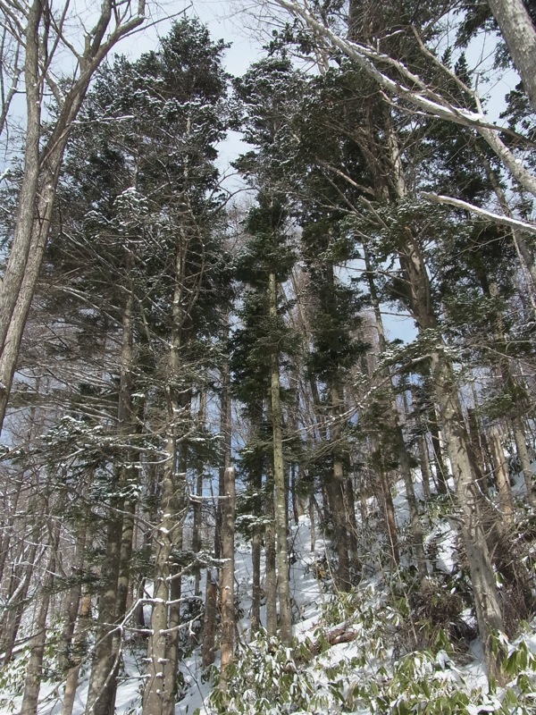 f:id:elmikamino:20120219110846j:image f:id:elmikamino:20120219110846j:image