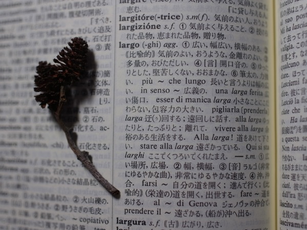 f:id:elmikamino:20120219221321j:image