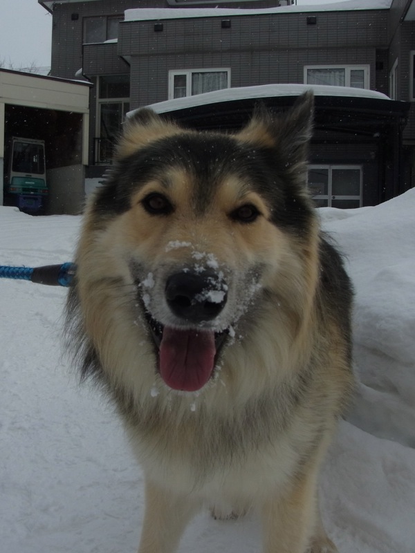 f:id:elmikamino:20120221094515j:image f:id:elmikamino:20120221094515j:image