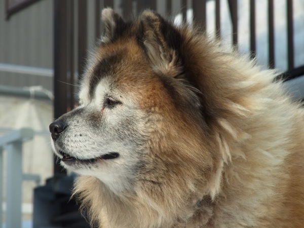 f:id:elmikamino:20120223101322j:image