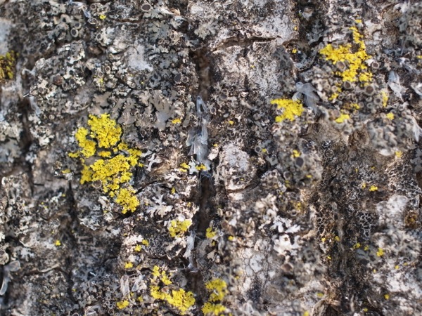 f:id:elmikamino:20120223103253j:image