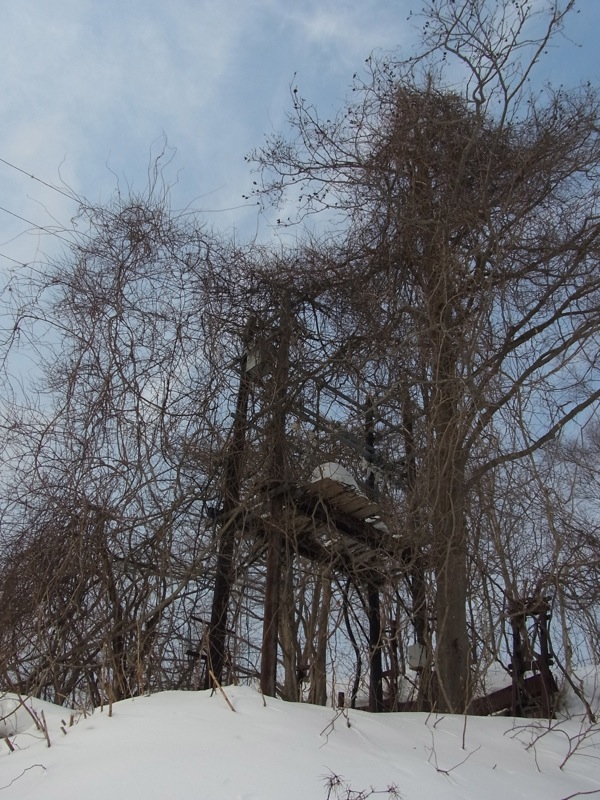 f:id:elmikamino:20120223111110j:image