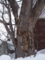20120225102530