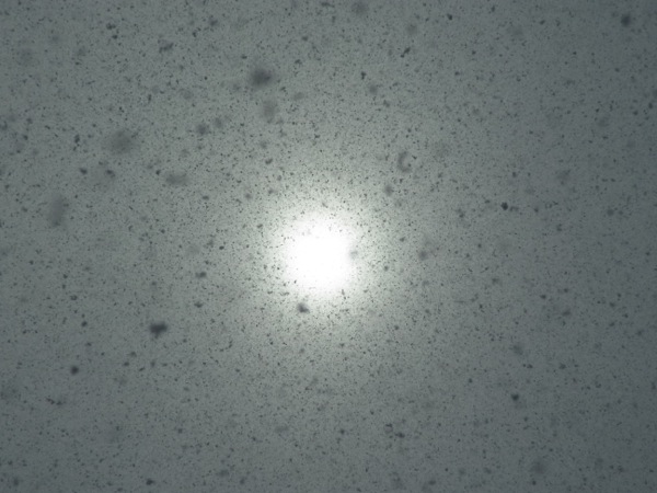 f:id:elmikamino:20120227094508j:image