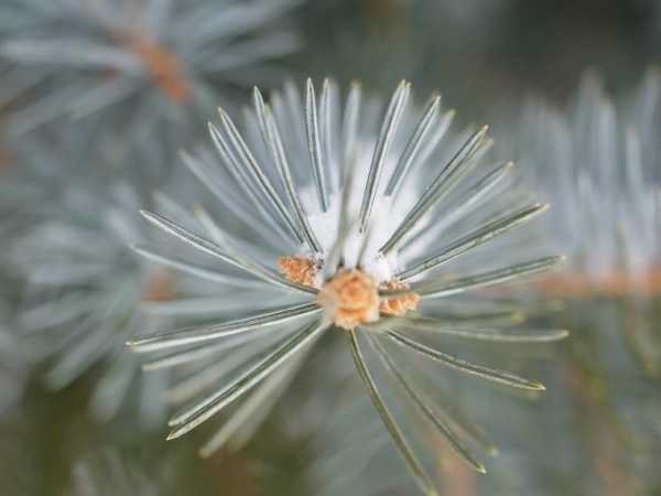 f:id:elmikamino:20120227102708j:image