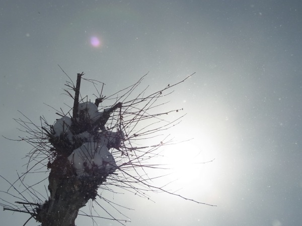 f:id:elmikamino:20120227103037j:image