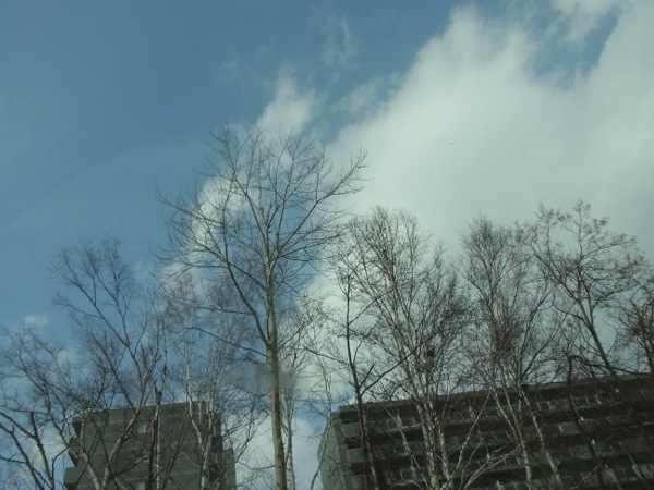 f:id:elmikamino:20120301125029j:image