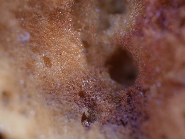f:id:elmikamino:20120305104854j:image