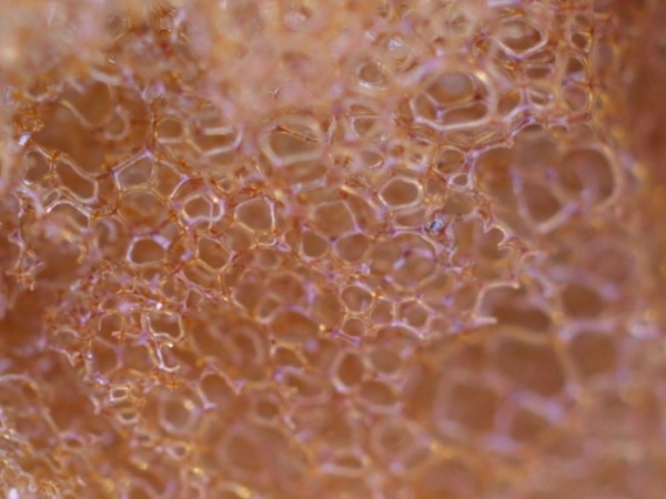 f:id:elmikamino:20120305104919j:image