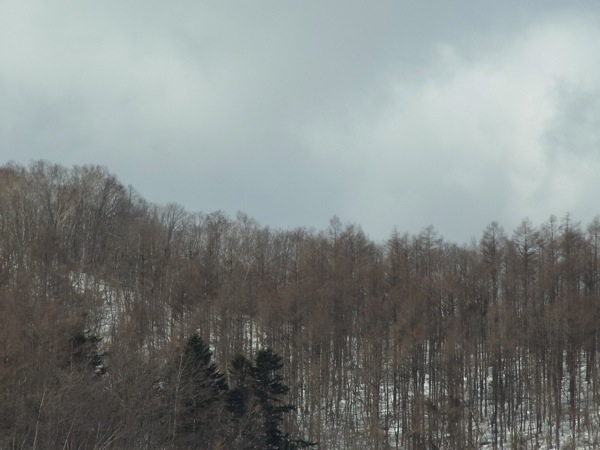 f:id:elmikamino:20120311105335j:image