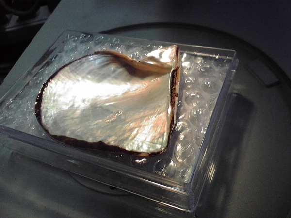 f:id:elmikamino:20120316021612j:image