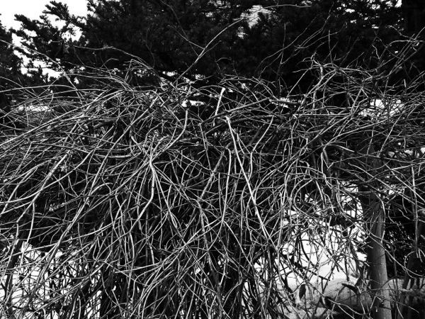 f:id:elmikamino:20120317110159j:image