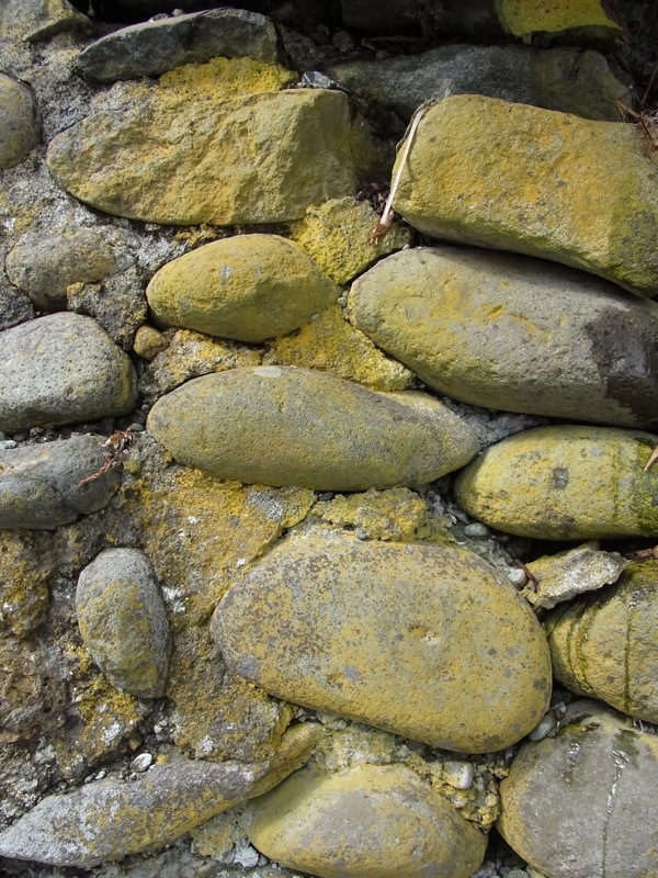 f:id:elmikamino:20120317112222j:image