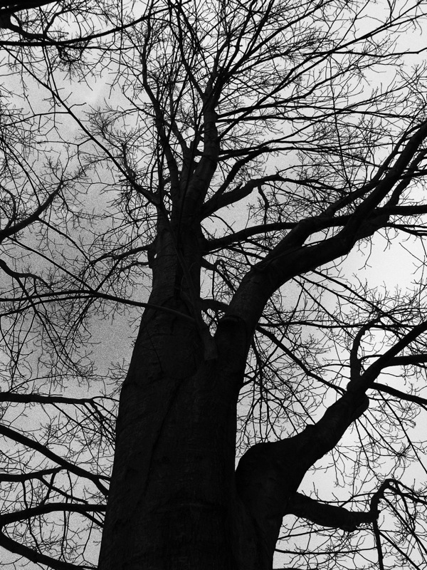 f:id:elmikamino:20120317113335j:image