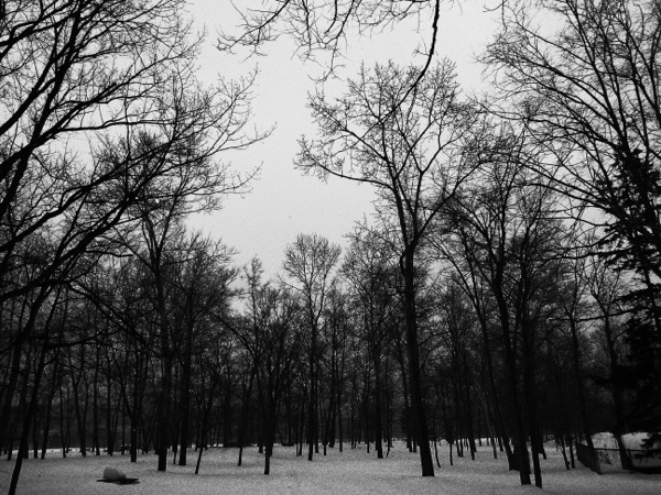 f:id:elmikamino:20120318122306j:image