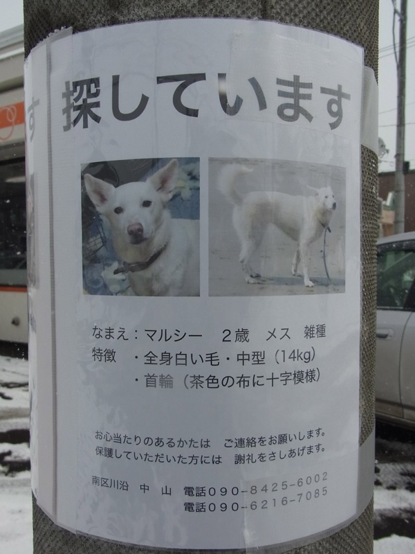 f:id:elmikamino:20120319105707j:image f:id:elmikamino:20120319105707j:image