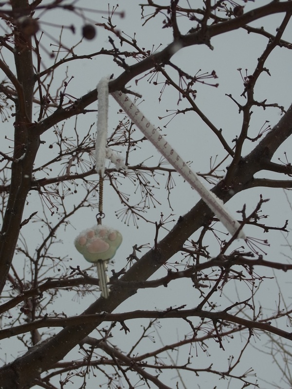 f:id:elmikamino:20120319105808j:image f:id:elmikamino:20120319105808j:image