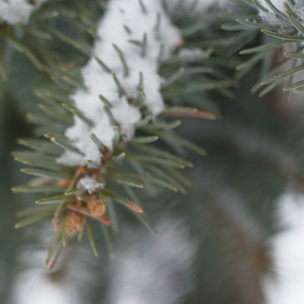 f:id:elmikamino:20120325105220j:image