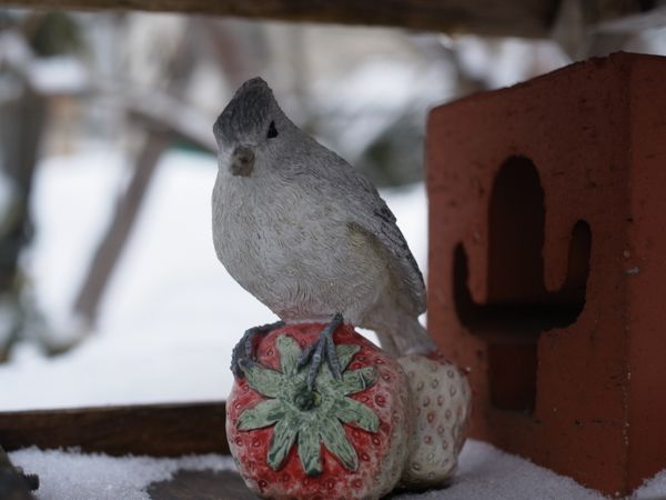 f:id:elmikamino:20120325110250j:image