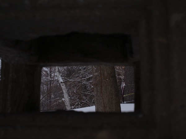 f:id:elmikamino:20120325111055j:image