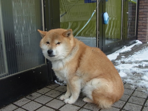 f:id:elmikamino:20120401130816j:image