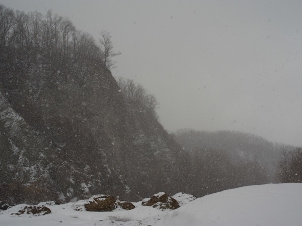 f:id:elmikamino:20120407105103j:image