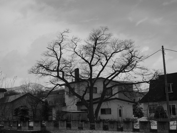 f:id:elmikamino:20120407112833j:image
