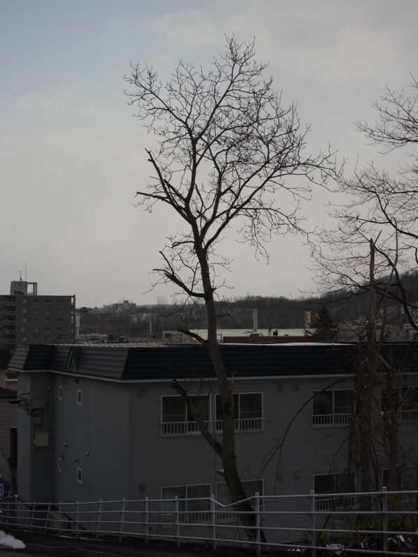 f:id:elmikamino:20120408093638j:image f:id:elmikamino:20120408093638j:image