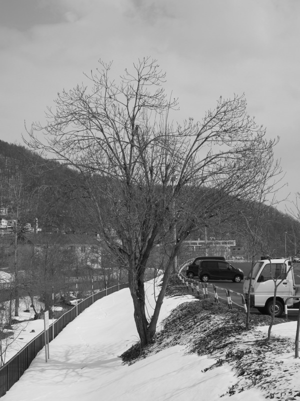 f:id:elmikamino:20120408101816j:image f:id:elmikamino:20120408101816j:image