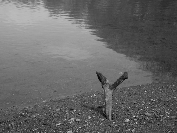 f:id:elmikamino:20120409105336j:image