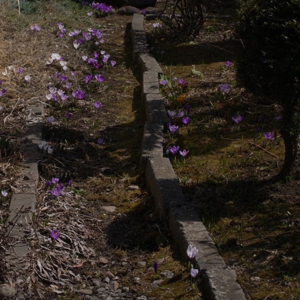 f:id:elmikamino:20120414103757j:image f:id:elmikamino:20120414103757j:image