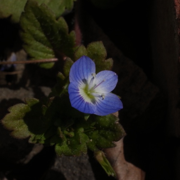 f:id:elmikamino:20120414103942j:image f:id:elmikamino:20120414103942j:image