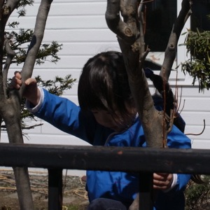 f:id:elmikamino:20120414104132j:image f:id:elmikamino:20120414104132j:image