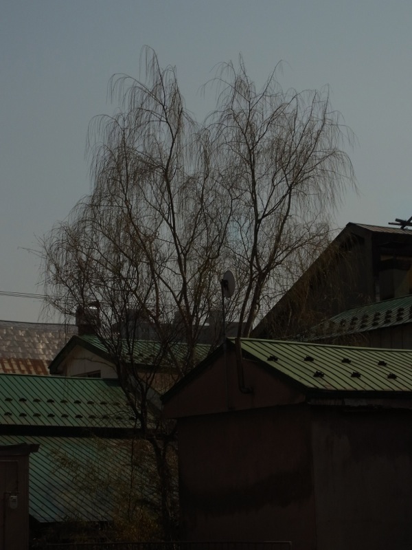 f:id:elmikamino:20120421131722j:image