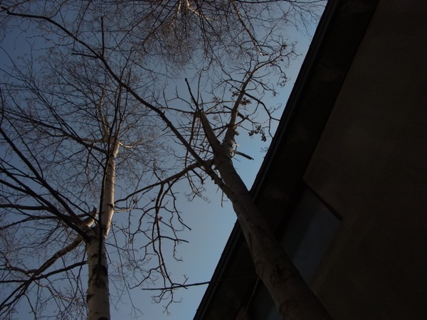 f:id:elmikamino:20120421150240j:image