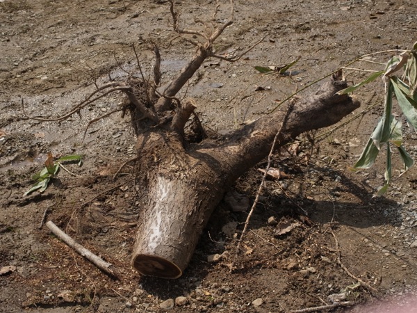 f:id:elmikamino:20120422102457j:image f:id:elmikamino:20120422102457j:image