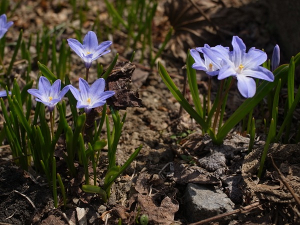 f:id:elmikamino:20120422104558j:image f:id:elmikamino:20120422104558j:image