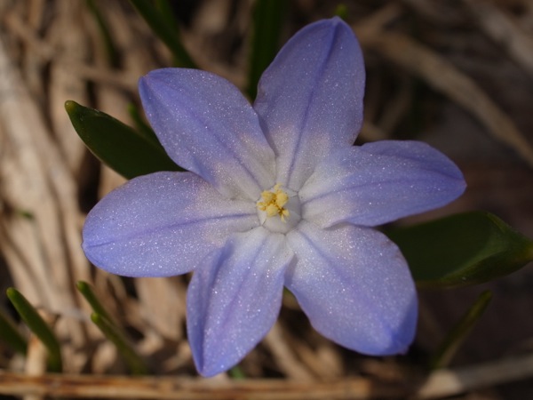 f:id:elmikamino:20120422104913j:image f:id:elmikamino:20120422104913j:image