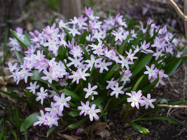 f:id:elmikamino:20120422105558j:image f:id:elmikamino:20120422105558j:image