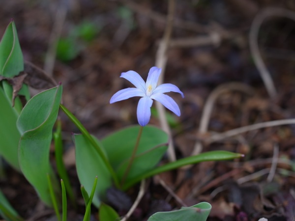 f:id:elmikamino:20120424101444j:image