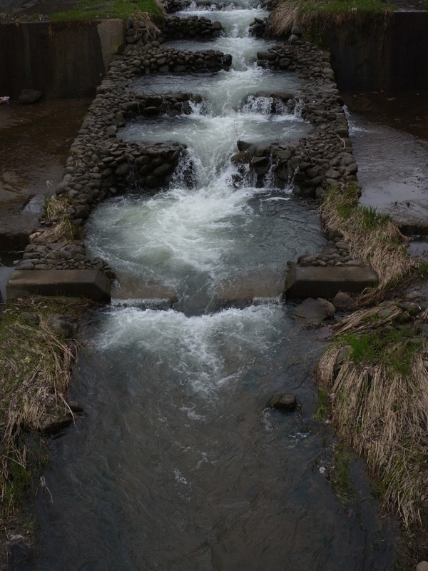 f:id:elmikamino:20120424102229j:image