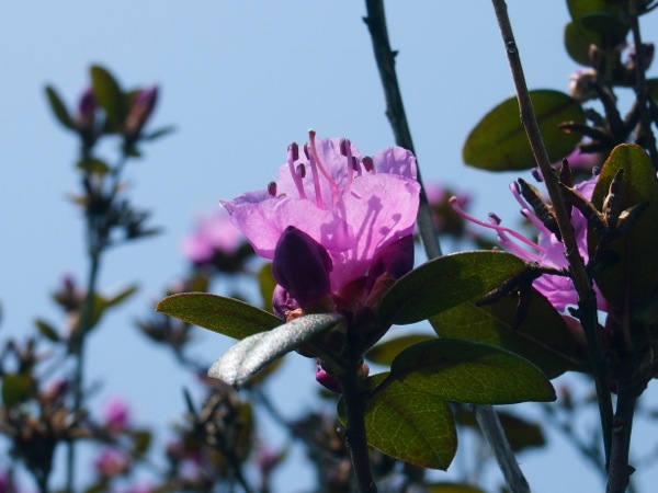 f:id:elmikamino:20120428103204j:image f:id:elmikamino:20120428103204j:image
