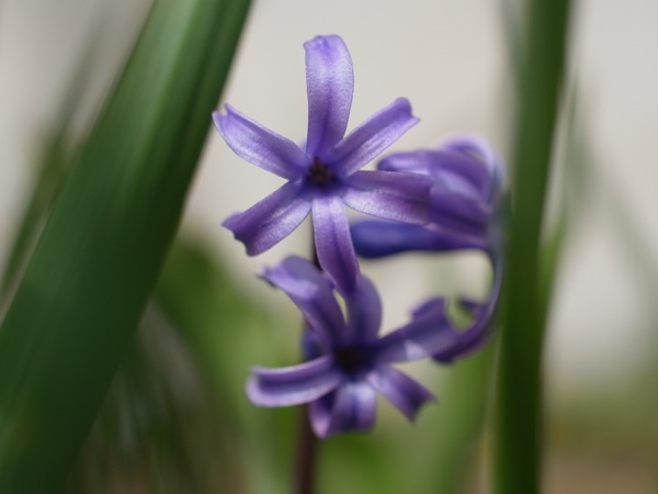 f:id:elmikamino:20120429093622j:image f:id:elmikamino:20120429093622j:image