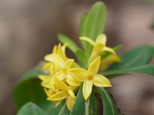 f:id:elmikamino:20120429100225j:image f:id:elmikamino:20120429100225j:image