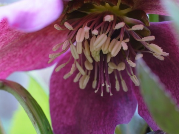 f:id:elmikamino:20120429110010j:image f:id:elmikamino:20120429110010j:image