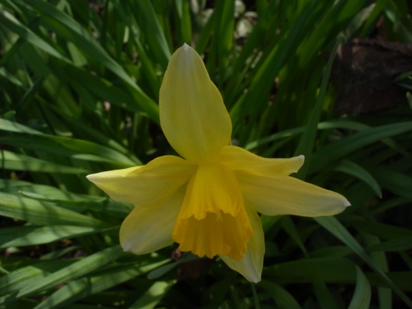 f:id:elmikamino:20120430093539j:image